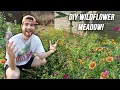 Download Lagu How To Create A Wildflower Meadow in 1 Year!! Native Garden Makeover! DIY No Lawn