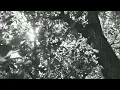 Merry's Funeral - Solgun Düşler (Official Video)