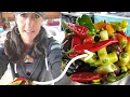 HOW TO FERMENT any VEGETABLE get more NUTRITION