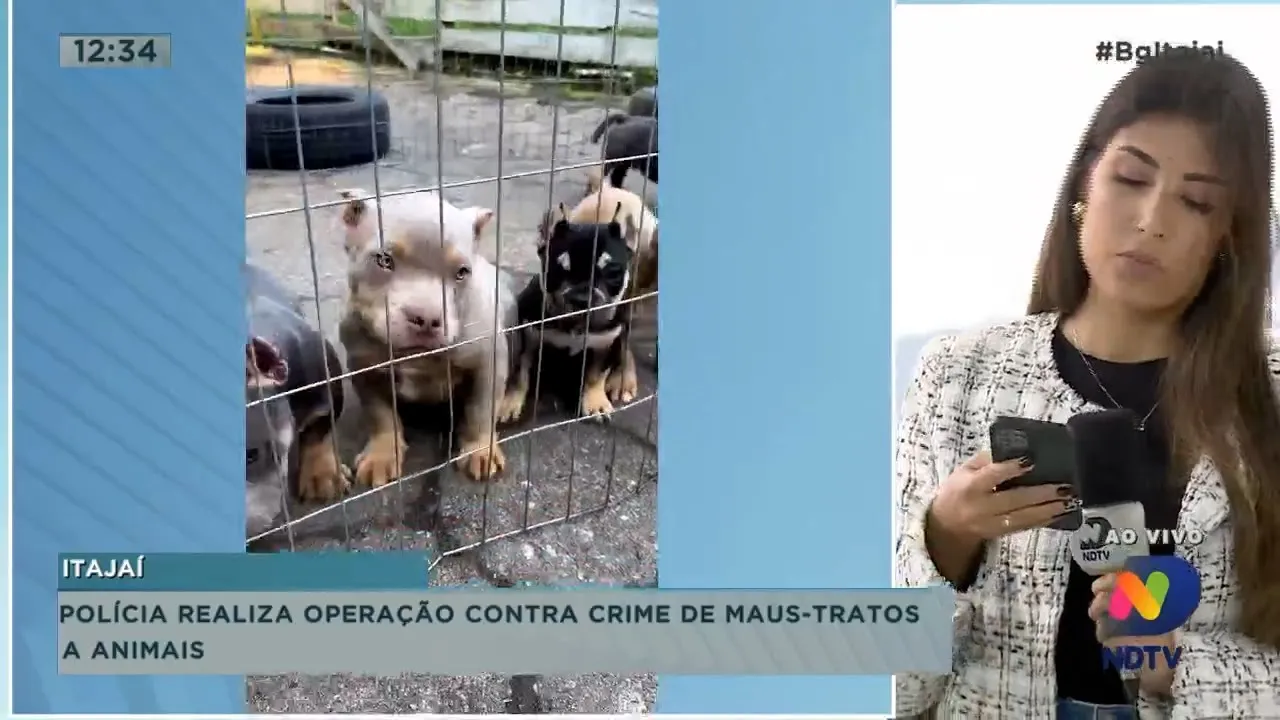 Polícia realiza operação contra crime de maus-tratos a animais, criminoso foge com moto