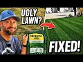 How and When to Apply Ironite to Your Lawn to Get SUPER Green Grass