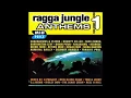 Ninjaman, Bounty Killer, Beenie Man & Ninja Ford - Bad Boy Lick A New Shot (Jungle Bullet)