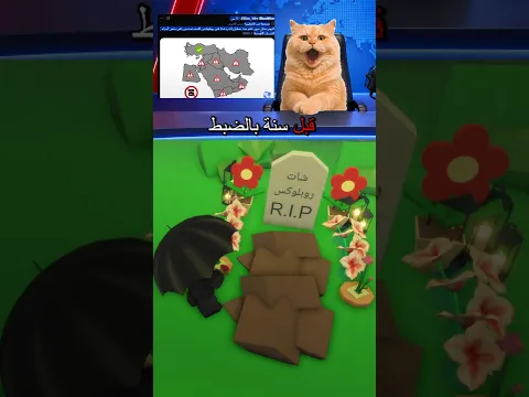 بعد مرور سنة.. الشات يرجع ؟