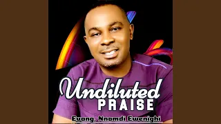 undiluted praise