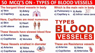 50 Blood vessels mcqs blood vessels types mcqs blood vessels fucntions human heart mcqs