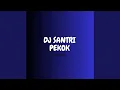 Download Lagu DJ SANTRI PEKOK JEDAG JEDUG