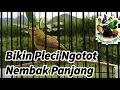 Download Lagu Bikin Pleci Ngotot Bunyi Auto Nembak-Nembak!!!