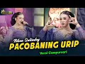 Download Lagu NIKEN SALINDRY - PACOBANING URIP - Kembar Campursari ( Official Music Video )