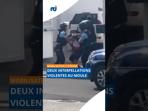 Deux interpellations brutales en marge des mobilisations lycéennes au Moule