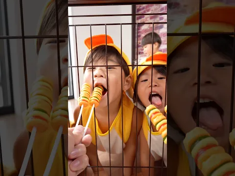 funny video🤣