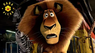 a disastourous circus performance epic fail madagascar 3 europes most wanted