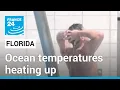 Water of Florida hits hot tub levels exceeding 37 8 C two days in a row FRANCE 24 English