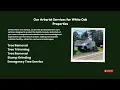 Tree Service in White Oak PA West Penn Tree Service