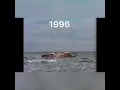Evolution of mothra