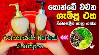🌱 හිසකෙස් වවන ඖෂධීය ෂැම්පු එක Homemade Ayurveda Shampoo