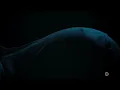 Download Lagu Les Revenants - pregnant scene 4