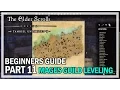 ESO Beginners Guide to Success Part 11 - Mage s Guild Lorebook locations