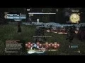 FINAL FANTASY XIV Oden