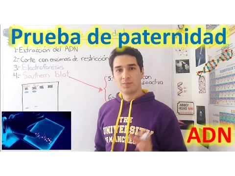 Download MP3 Prueba de paternidad. Nivel Genético. EN 7 MINUTOS