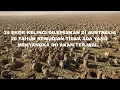 Download Lagu 24 EKOR KELINCI DILEPASKAN DI AUSTRALIA, 20 TAHUN KEMUDIAN BEGINI YANG TERJADI...
