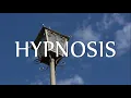 Hypnosis for Letting Go of the Fear of Success (Confidence & Motivation)