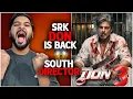 Lagu DON is BACK: Shahrukh Khan Return in DON 3 | Don 3 Shocking Latest News | KING Release Date