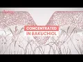 Eau Thermale Avene NEW DERMABSOLU Intensive Resculpting Night Cream Concentrated with Bakuchiol