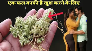 कमजोर नसों मे जान फूंक देगा ये चीज़,बस लगाते हि होगा असर इतना तेज है यह आयुर्वेदिक औषधि जड़ी बूटी