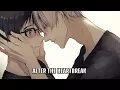 Download Lagu Nightcore - After The Heartbreak (Male Version) Lyrics