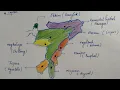 Draw map in 5 minutes only of North East India