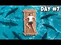 Download Lagu 7 Days Stranded At Sea