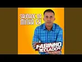 Download Lagu Saudade da Minha Ex