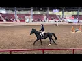 Trick or trot 2025 pt2