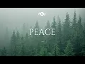 PEACE - Soaking worship instrumental | Prayer and Devotional