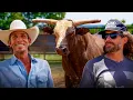 We Take The New MEAN Bull To JB s