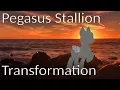 Pegasus Stallion Transformation Hypnosis with Imposition
