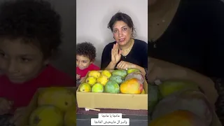 مانجا يامانجا  وكائن الأسر ال مابيحبش المانجا   دندنها