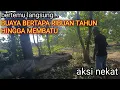 Download Lagu HEBOH !! BUAYA BERTAPA RIBUAN TAHUN JADI BATU GAGAL MENJELMA MENJADI MANUSIA