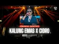 Download Lagu CIDRO X KALUNG EMAS - HIMAWAN DIAMONDZ | GEK OPO SALAH AWAK KU IKI | LIVE KONSER BATURAN FEST 2025