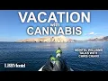420 CANNABIS HOTEL CHRIS CHIARI