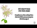 [FULL] Nami 나미 - Sad Fate 슬픈인연 (Indonesian Sub)
