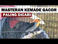 Download Lagu SUARA CIT KERES GACOR NGALAS TEMBAKAN PEDAS ‼️ PIKAT MASTERAN BURUNG CABE KEMADE ENCIT CITBANG AMPUH