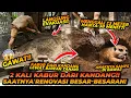 Lagu INI AKHIR DARI PROYEK MEERKAT! BISA MENGGALI 3 METER HANYA DALAM 30 MENIT?