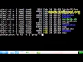How to list only files in Bash