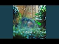 Download Lagu Parasite