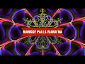Download Lagu MANGGE PALLA RIANA'NA (680) Iwan Tompo