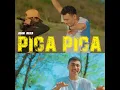 PICA PICA
