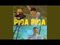 Download Lagu PICA PICA