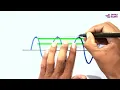 How to draw and label a transverse wave