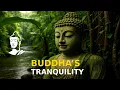 Download Lagu Buddha’s Tranquility: A Moment of Peace by the River